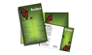 Brochures Printing 11 x 17